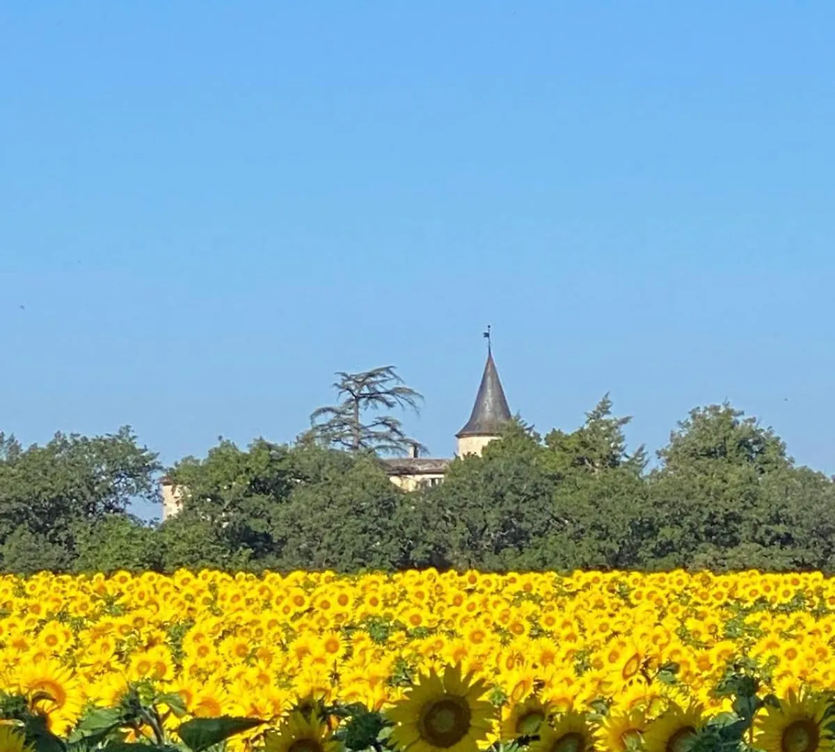 Chateau De Montcuquet Lautrec Bed & Breakfast
